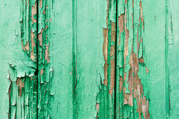 Old wooden planks with cracked peeling green paint. Painted texture background. Rustic background