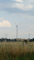 wind turbine in the field