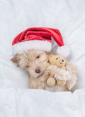 Cute Goldust Yorkshire terrier puppy  wearing red santa hat lying on a bed under white blanket at home and hugging toy bear. Top down view