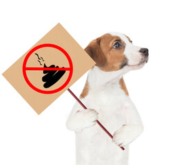 Jack russell terrier puppy holds sign 