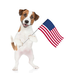 Happy jack russell terrier celebrating  independence day 4th of july with usa flag. isolated on white background