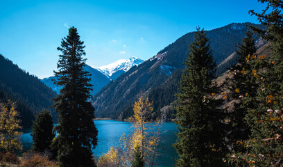 Tall old fir trees grow on a mountainside under a blue sky. A beautiful view through the fir trees to high mountains with snow-capped peaks in a blue haze and a lake with azure water.