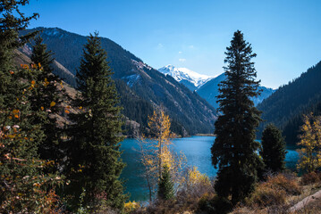 Tall old fir trees grow on a mountainside under a blue sky. A beautiful view through the fir trees to high mountains with snow-capped peaks in a blue haze and a lake with azure water.