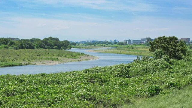 よく晴れた夏の日の多摩川の風景　　4K　UHD