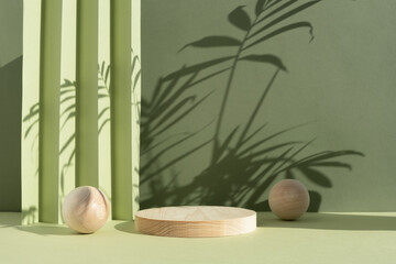 Geometric wooden podium on an abstract green background with a shadow of palm leaves. A scene with a geometric background. Backdrop for the product presentation