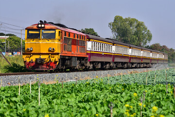 Thai passenger train by diesel locomotive on the railway passes field side.