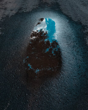 reflection of trees in puddle of water on the street