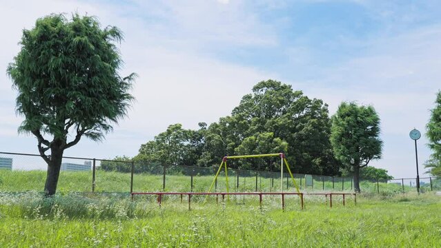 よく晴れた夏の日の多摩川の公園　　4K　UHD