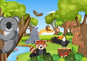 Cute wild animals in the forest © blueringmedia