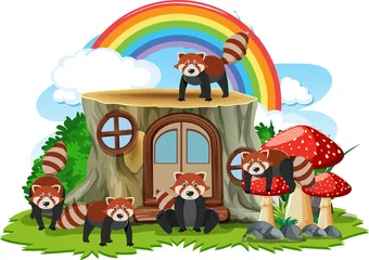 Gruppe des roten Pandas mit Stumpfhaus © blueringmedia