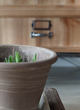 植木鉢と木製家具のあるナチュラルなインテリアイメージ