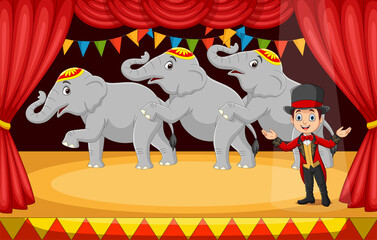 Cartoon circus tamer with elephants on stage