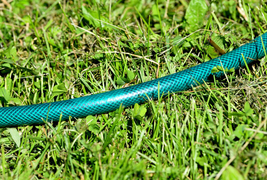 A fragment of a garden watering hose on a summer day