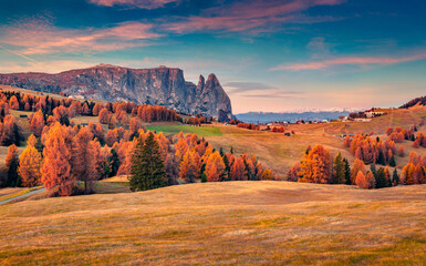 Colorful autumn view of Alpe di Siusi ski resort with beautiful orange larch trees. Majestic sunrise in Dolomite Alps, Ortisei locattion, Italy, Europe. Beauty of countryside concept background.