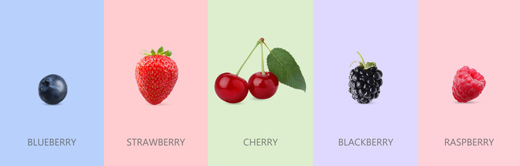 Collage with tasty ripe berries on different color backgrounds. Banner design