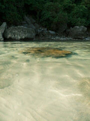 Beautiful virgin beach in National Park in Thailand