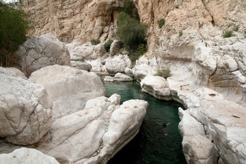 Fototapeta na wymiar Refreshing swimming visit to Wadi Bani Khalid, Oman