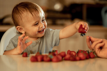Fototapeta na wymiar the baby reaches for the strawberry, which is held by dad's hand. The child eats berries, vitamins, healthy food