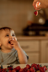 a happy baby looks happily at a strawberry in his dad's hand, the child is at home in the kitchen eating a berry