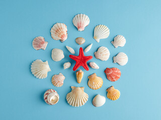 Red starfish surrounded by assorted seashells on blue background. Summer holiday or vacation