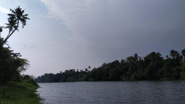 Forest river water surface sky reflection and fast flowing wind or breeze ripples. Riverbed, riverside or riverbank filled with thick green lush or vegetation of plants and trees. closeup side view.