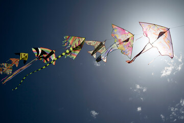 Series of colorful kites flying in the blue sky