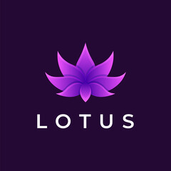 lotus 3d gradient colorful logo design
