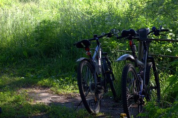 Fototapeta premium bike in the park