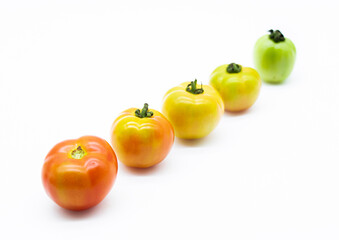tomatoes photograph. Different types of tomatoes in a row over on white background