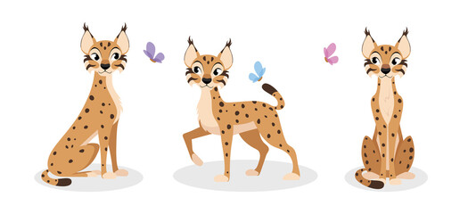 Vector illustration of cute and beautiful lynx on white background. Charming characters in different poses sit sideways, walking in cartoon style.