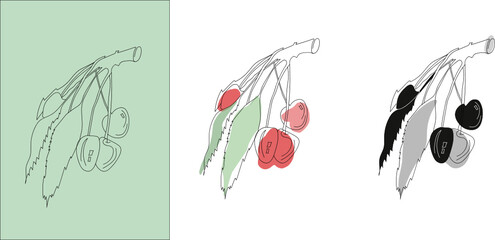 line drawing of sweet cherry
