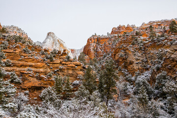 Winter sunrise in Zion National Park, United States of America