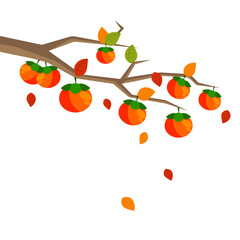 Persimmons on a Tree Branch Logo. Isolated on a white background. Vector Illustration.