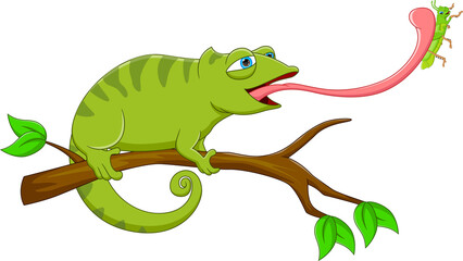 cartoon chameleon catching grasshopper with tongue - obrazy, fototapety, plakaty