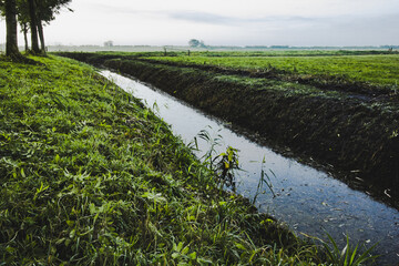 Hollandaise landscape, green field, ditch with water, source for plant irrigation.