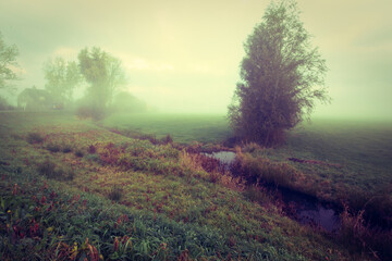 Fog on the Meadow. Travels. Foggy Landscape. Amazing nature. Misty early morning in Netherlands