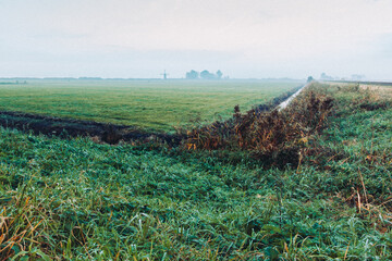 Typical Dutch landscape with green field, ditch, and mill in distance.