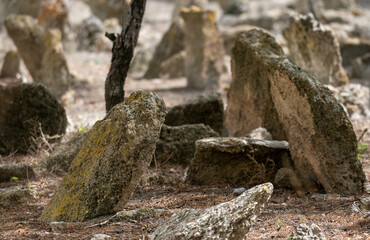 Image from the forgotten cemetery taken with selective focus.