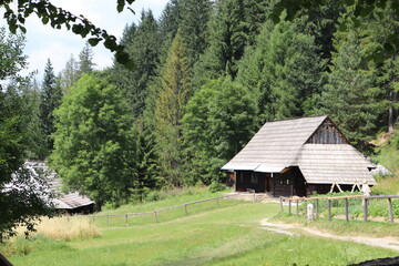 house in the mountains,house, old, rural, cabin, building, wood, landscape, nature, grass, sky, barn, forest, farm, wooden, tree, cottage, green, country, mountain, village, hut, summer, architecture,