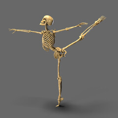 Anatomy of dancing and ballet, 3D illustration