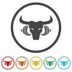 Bull gym icons in color circle buttons
