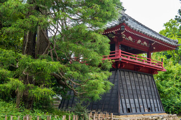 岩殿山息障院光明寺の袴腰鐘楼とヒノキ【源範頼館跡】／日本埼玉県比企郡吉見町