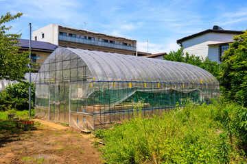 住宅街にある農業用ビニールハウス