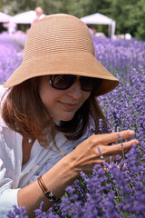 Purple lavender field, flowering lavender bushes. Pastel colors background. Soft feeling of a dream.