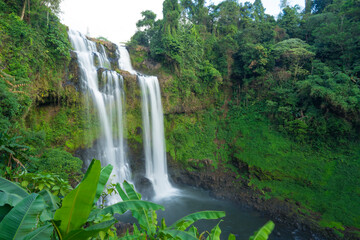 Fototapeta premium Waterfall in the forest.