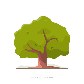 Big tree vector illustration isolated on white background