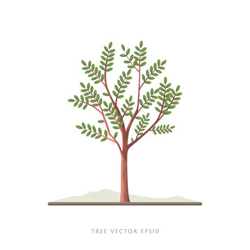 Tree vector illustration with branches and leaves on white background