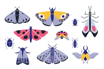 Collection of exotic butterflies, moths and bugs, cartoon style. Set of insects. Trendy modern vector illustration isolated on white background, hand drawn