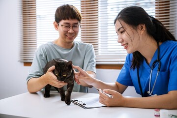 Professional vet doctor helps cat. owner cat holding pet on hands. Cat on examination table of...