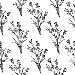 Wildflower lavender flower pattern in a one line style. Outline of the plant: Black and white engraved ink art lavender. Sketch wild flower for background, texture, wrapper pattern, frame or border.